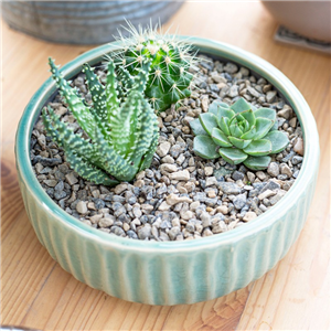 Horticultural Alpine Grit Handy Pack